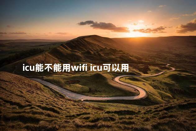 icu能不能用wifi icu可以用手机吗